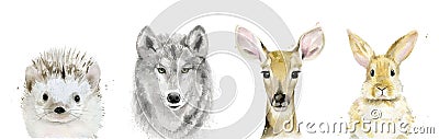 Watercolor Forest Animal Set. Watercolour Woodland Wolf Hare Hedgehog Fawn Paint Collection. Stock Photo