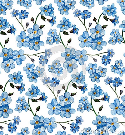 Watercolor forget me nots pattern. Blue flowers background Stock Photo
