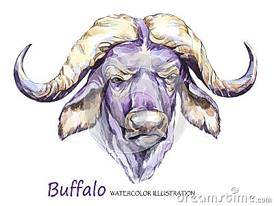 Watercolor formidable bull on the white background. African animal. Wildlife art illustration. Can be printed on T Cartoon Illustration