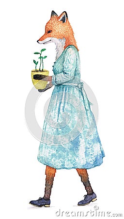 Watercolor fox in a dress carrying a pot with flowers. Stock Photo