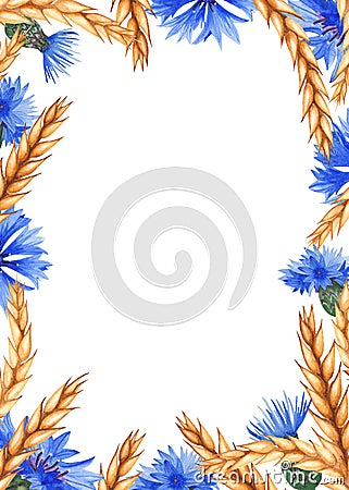 Watercolor frame with cornflowers and ears of wheat. Cartoon Illustration