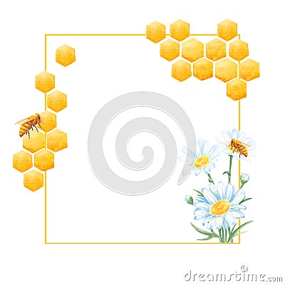 Watercolor frame. Honeycombs, honey bee, chamomile. White background. Hand painting. Illustration for printing design on Stock Photo