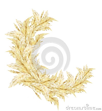 Watercolor frame pampas graas wreath for design boho and modern style . Golden wreath south America, feathery flower head plumes Stock Photo