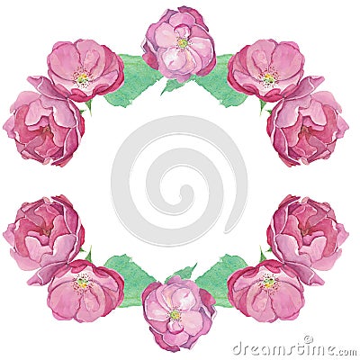 Watercolor frame of pink open rosebuds and green leaves Stock Photo