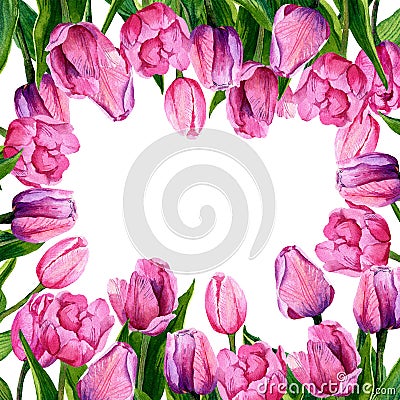 Watercolor frame of pink tulips. Stock Photo