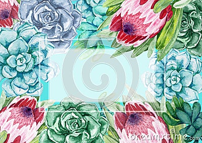 Watercolor frame. Succulents with protea flowers. Color cacti Stock Photo