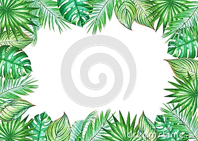 Watercolor frame with tropical leaves of coconut palm tree Stock Photo