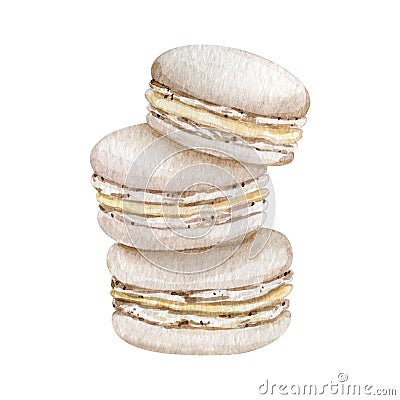 Watercolor French macaroons cookies illustration Cartoon Illustration