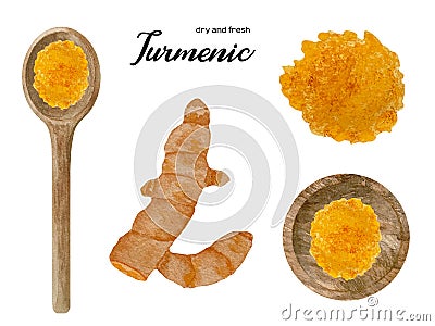 Watercolor fresh and dry orange turmeric in wooden bowl and spoon. Kitchen spices and herbs set Cartoon Illustration