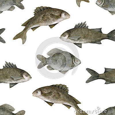 Watercolor freshwater fish seamless pattern. Hand drawn European carp, common perch and bream fish isolated on white Cartoon Illustration