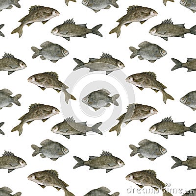 Watercolor freshwater fish seamless pattern. Hand drawn European carp, common perch and bream fish isolated on white Cartoon Illustration