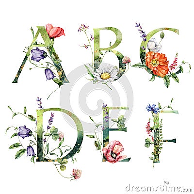 Watercolor frolal alphabet set of A, B, C, D, E, F with wild flowers. Hand painted floral symbols isolated on white Stock Photo