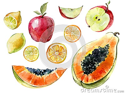 Watercolor fruit set. Papaya, lemon, apple cut in halves and slices isolated on white background. Tropical fruit in cross section. Cartoon Illustration