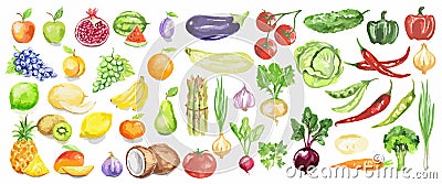 Watercolor fruit and vegetables set. Vector Illustration