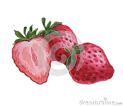 Watercolor fruits. Juicy fruit. Food illustration. .Sweet, juicy fruits. Cartoon Illustration