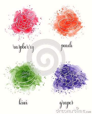 Watercolor fruits, set. Outlines of raspberry, peach, kiwi, grapes. Stock Photo