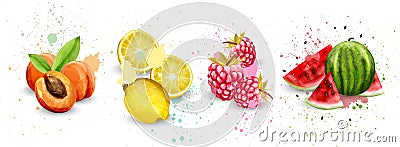 Watercolor fruits set Vector. Apricot, lemon, raspberry, watermelon delicious illustrations Vector Illustration