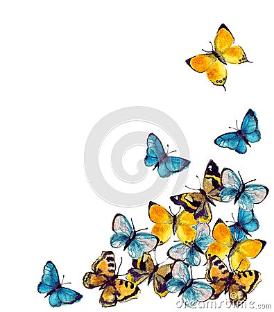 Watercolor butterflyes on the white background. Stock Photo