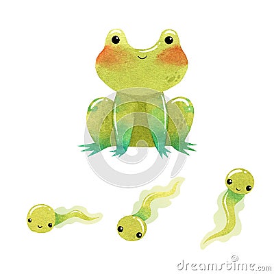 Watercolor funny Toad with cute tadpoles. Isolated on white background Stock Photo