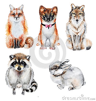 Watercolor fur wild animals Stock Photo