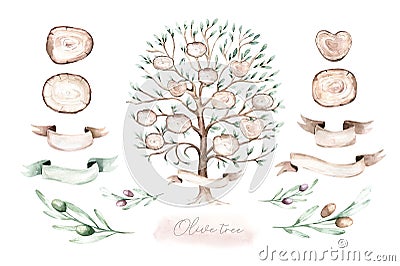 Watercolor Genealogical Family tree. Watercolor children's tree botanical season isolated illustration. olive, oak and Cartoon Illustration
