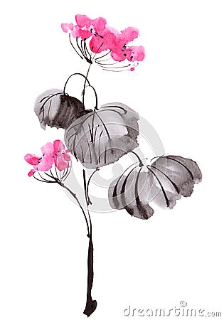 Watercolor geranium flower Cartoon Illustration