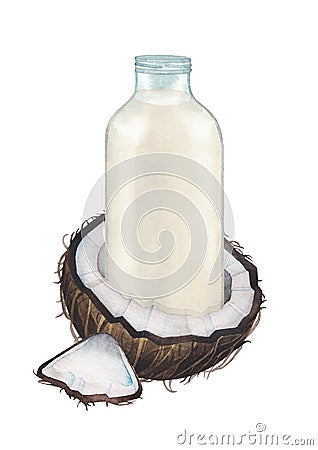 Watercolor glass bottle of the plant based milk standing inside the sliced coconut. Cartoon Illustration