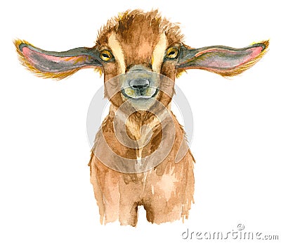 Watercolor Goat head Stock Photo