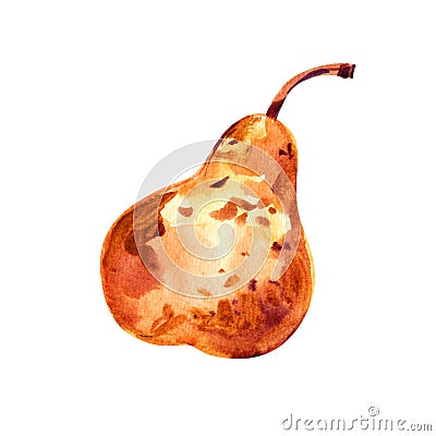Watercolor gold pear fruit closeup isolated on white background Stock Photo