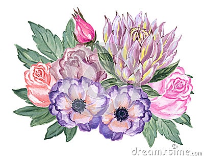 Watercolor gouache elegant vintage rose anemone protea flower an Stock Photo