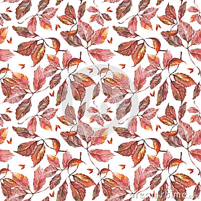Watercolor grapes red leaves seamless pattern Stock Photo