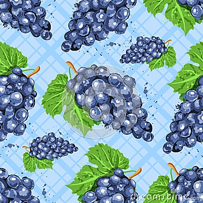 Watercolor grapes seamless pattern. Watercolor bunches of grapes on an isolated checkered blue background. Vector Vector Illustration