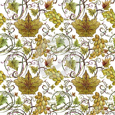 Watercolor grapes and vine seamless pattern. Stock Photo