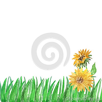 Watercolor grass frame with sunflowers on a white background Stock Photo