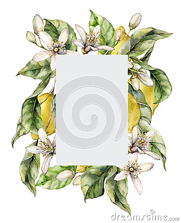 Watercolor gray frame of ripe lemons, leaves, flowers and buds. Hand painted tropical border of fruits isolated on white Cartoon Illustration