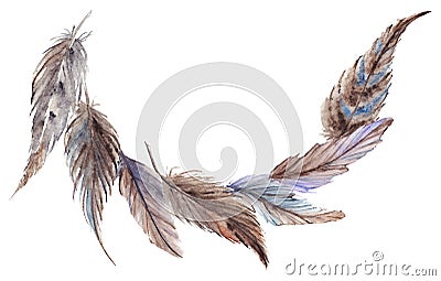 Watercolor gray grey blue brown feathers composition set Stock Photo