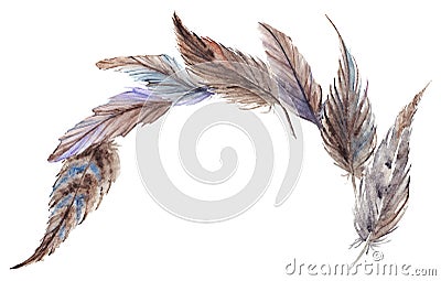 Watercolor gray grey blue brown feathers composition set isolated Stock Photo