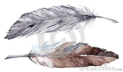 Watercolor gray grey brown feather set Stock Photo