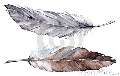 Watercolor gray grey brown feather set Stock Photo