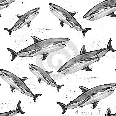 Watercolor great white shark pattern. Stock Photo