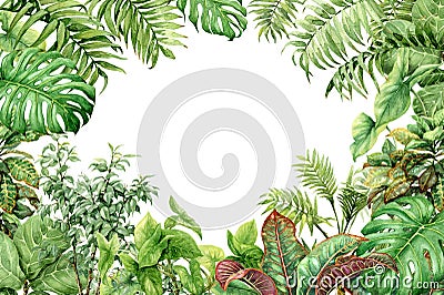 Watercolor green background with tropical plants Stock Photo