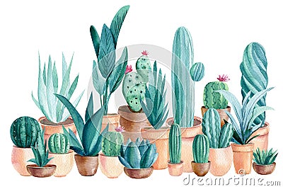 Watercolor green cacti and succulents. House Plants in pot. composition of indoor plants Cartoon Illustration