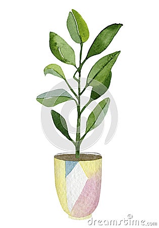 Watercolor green floral house plants illustration. Illustration home greenery in cute colorful pots for greetig card Cartoon Illustration