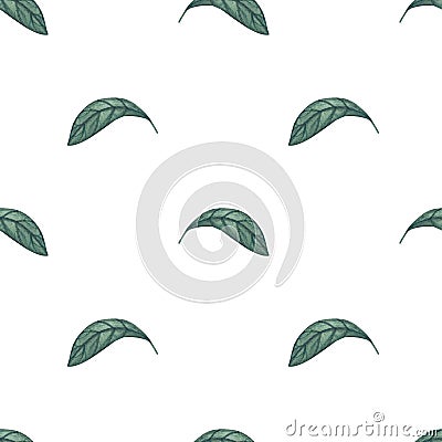 Watercolor green leaves seamless pattern on white background Stock Photo