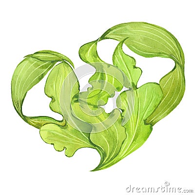 Watercolor green seaweed Cartoon Illustration