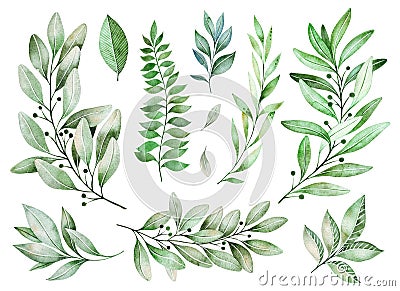 Texture with greens,branch, leaves, fern leaves, foliage Stock Photo