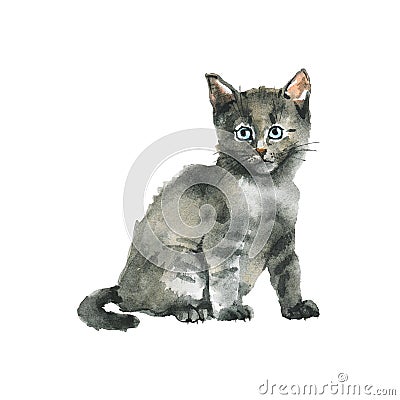 Watercolor grey kitten Cartoon Illustration