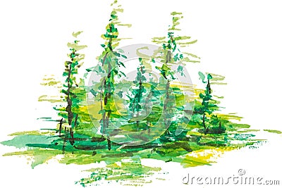 Watercolor group of fir trees green forest landscape Vector Illustration
