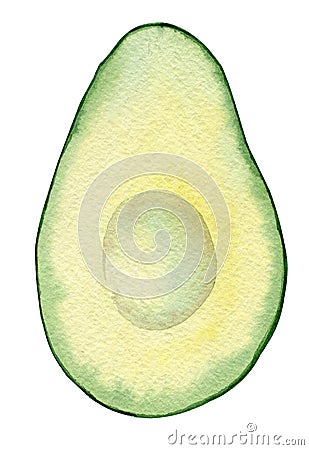 Watercolor half avocado without seed isolated on white background Cartoon Illustration