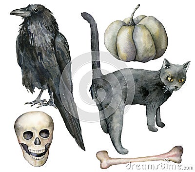 Watercolor halloween set with crow and cat. Hand painted holiday set with pumpkin, scull and bone isolated on white Stock Photo